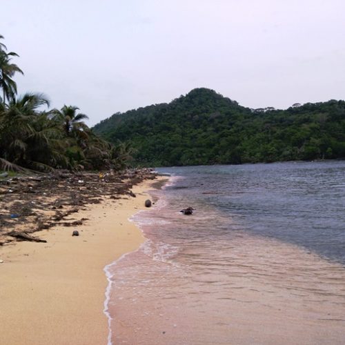 Caledonia et Islas San Blas (10)