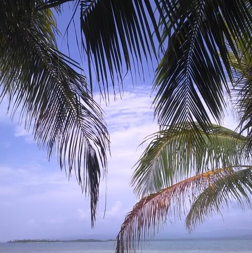 Caledonia et Islas San Blas (23)