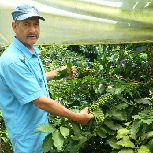 Girardota et Barbosa (19)