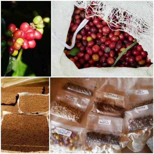 Girardota et Barbosa (4)