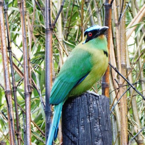 Girardota et Barbosa (5)