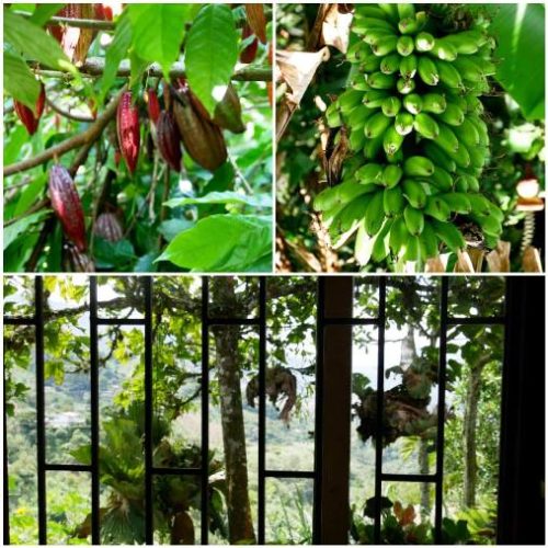 Girardota et Barbosa (6)