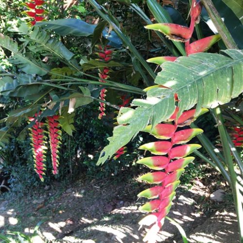 Girardota et Barbosa (7)