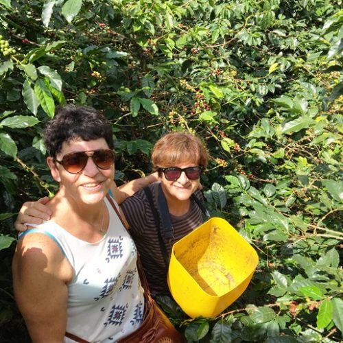 Girardota et Barbosa (8)