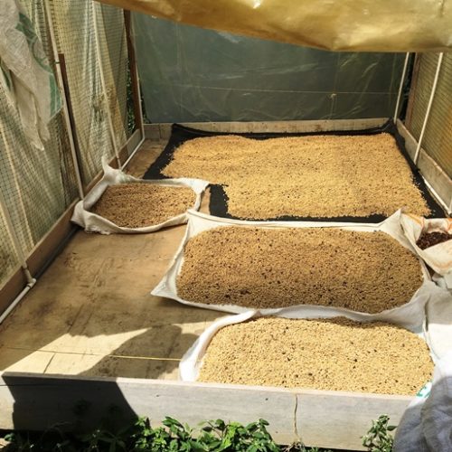 Girardota et Barbosa (9)