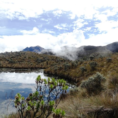 PNN Los Nevados (12)