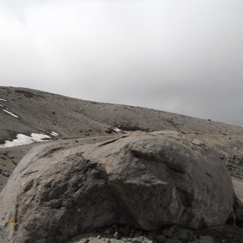 PNN Los Nevados (28)