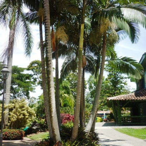 Parque del café (16)