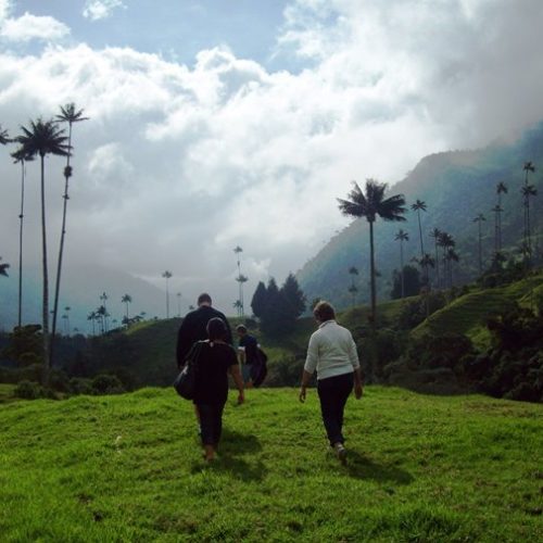 Salento et Cocora (10)