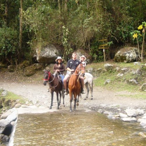 Salento et Cocora (15)