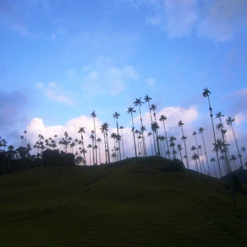 Salento et Cocora (16)