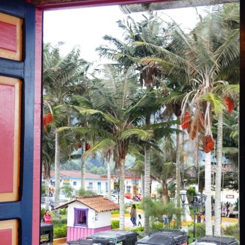 Salento et Cocora (23)