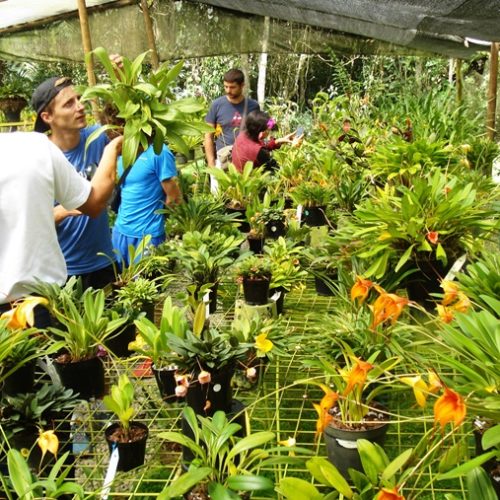 Saltos del Buey et Entre Flores (11) Saltos del Buey et Entre Flores (11)