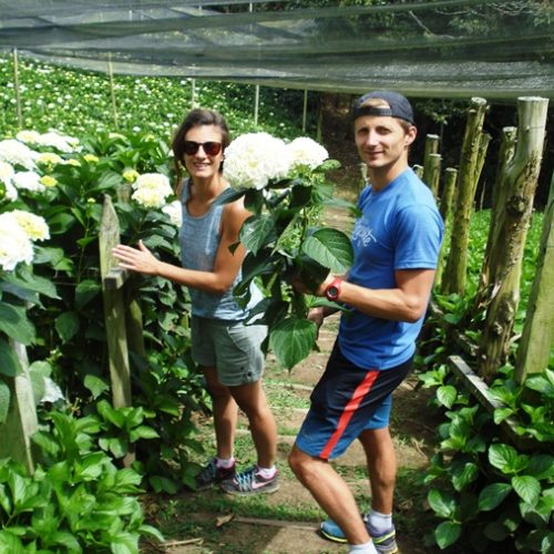 Saltos del Buey et Entre Flores (14) Saltos del Buey et Entre Flores (14)