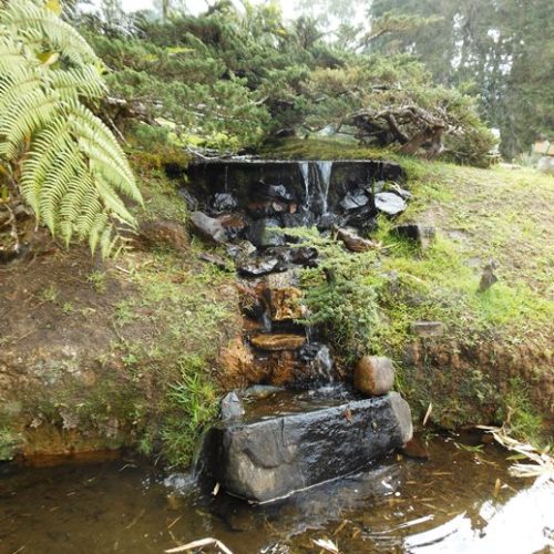 Saltos del Buey et Entre Flores (15) Saltos del Buey et Entre Flores (15)