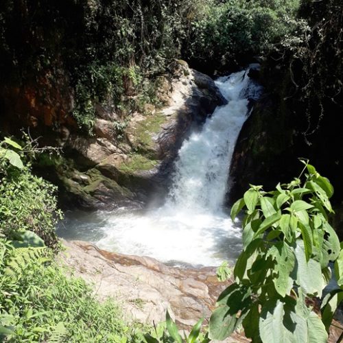Saltos del Buey et Entre Flores (3) Saltos del Buey et Entre Flores (3)