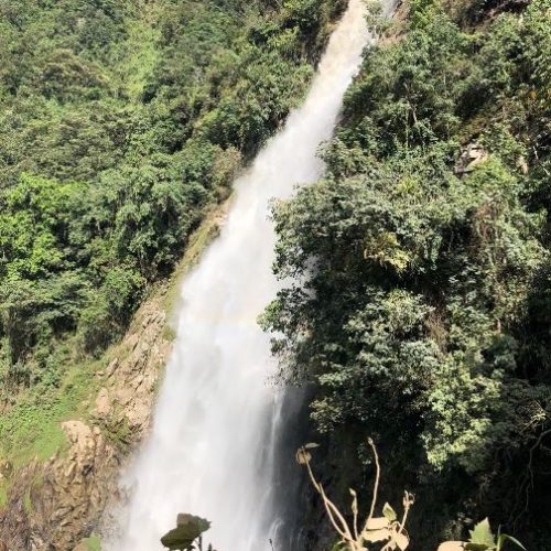 Saltos del Buey et Entre Flores (36) Saltos del Buey et Entre Flores (36)
