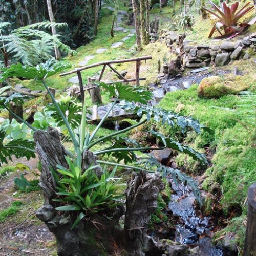 Saltos del Buey et Entre Flores (4) Saltos del Buey et Entre Flores (4)