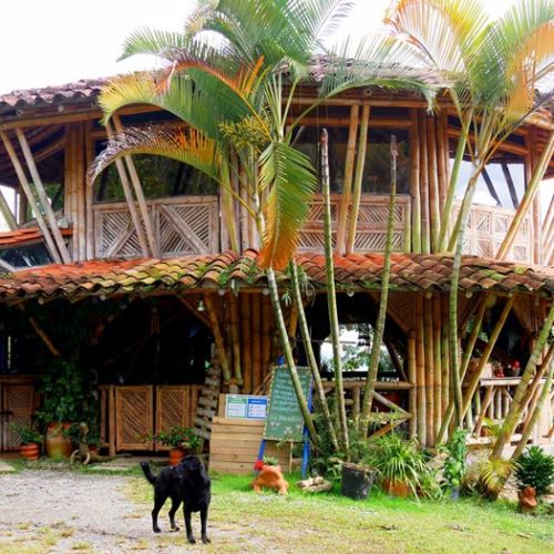 San Francisco et Cocorna (1)