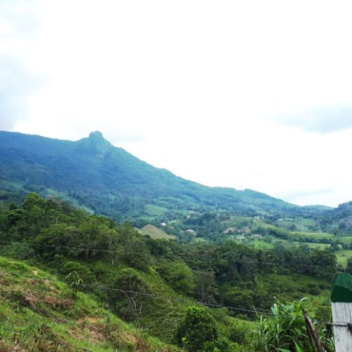 San Rafael et San Carlos (26)