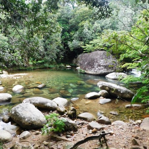 San Rafael et San Carlos (27)