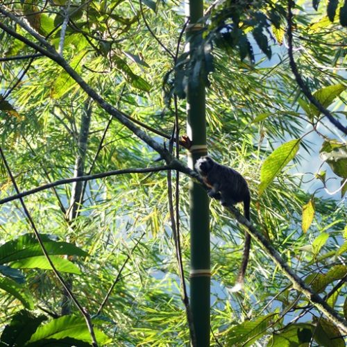 San Rafael et San Carlos (28)