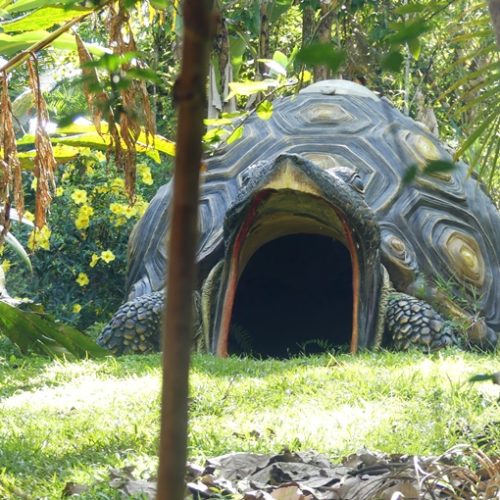 San Rafael et San Carlos (31)