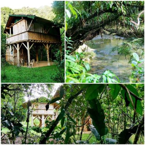 San Rafael et San Carlos (37)