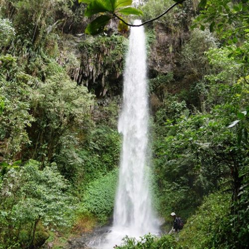 Santuario Fauna Flora Otun Quimbaya Ucumari (12)