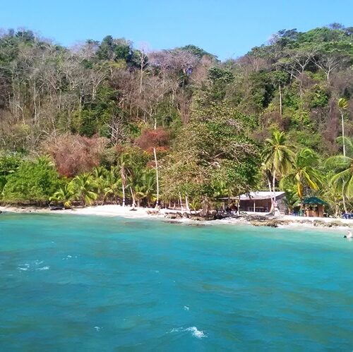 Sapzurro et la Miel (16)