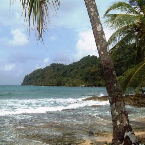 Sapzurro et la Miel (21)