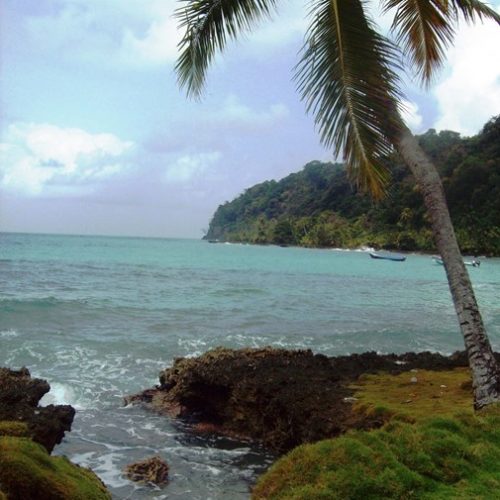 Sapzurro et la Miel (22)