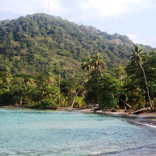 Sapzurro et la Miel (27)