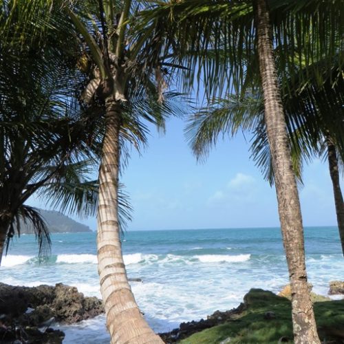 Sapzurro et la Miel (6)