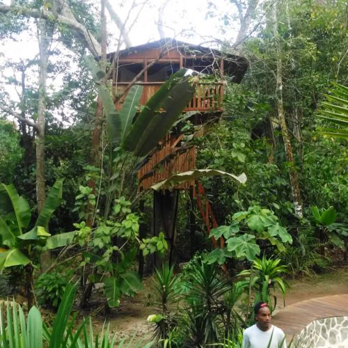 Treegana Hostal Trigana (15)