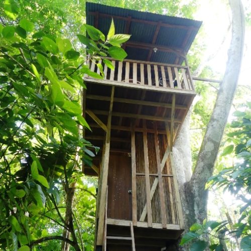 Treegana Hostal Trigana (42)