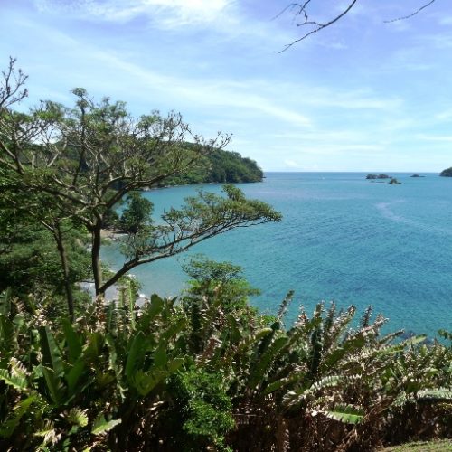 Treegana Hostal Trigana (52)