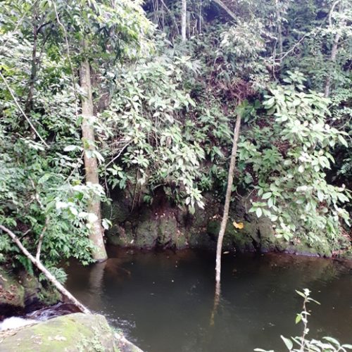 Trigana et San Francisco (18)