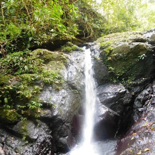 Trigana et San Francisco (21)