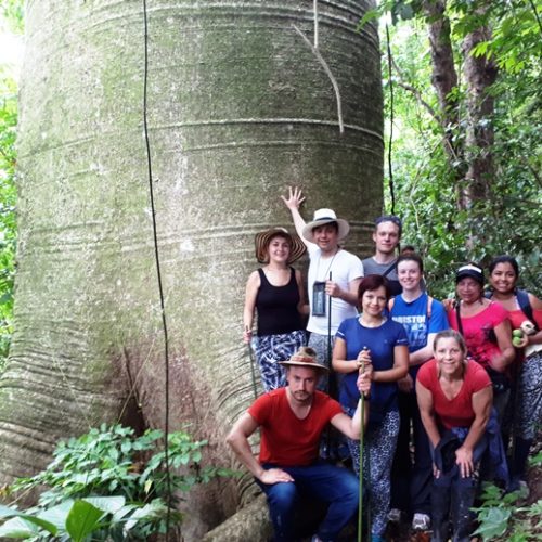 Trigana et San Francisco (25)