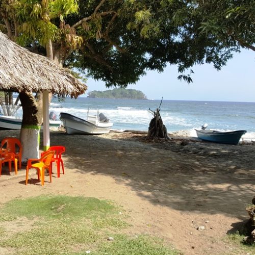 Trigana et San Francisco (38)