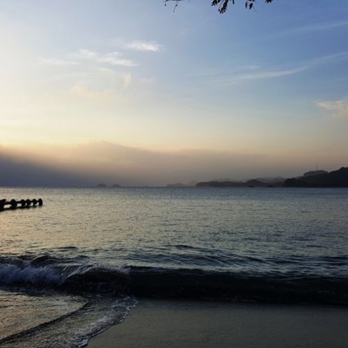 Trigana et San Francisco (44)