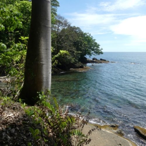 Trigana et San Francisco (72)