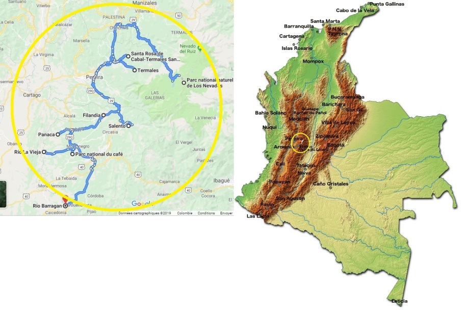 region-de-cafe-en-colombia Región de Café en Colombia