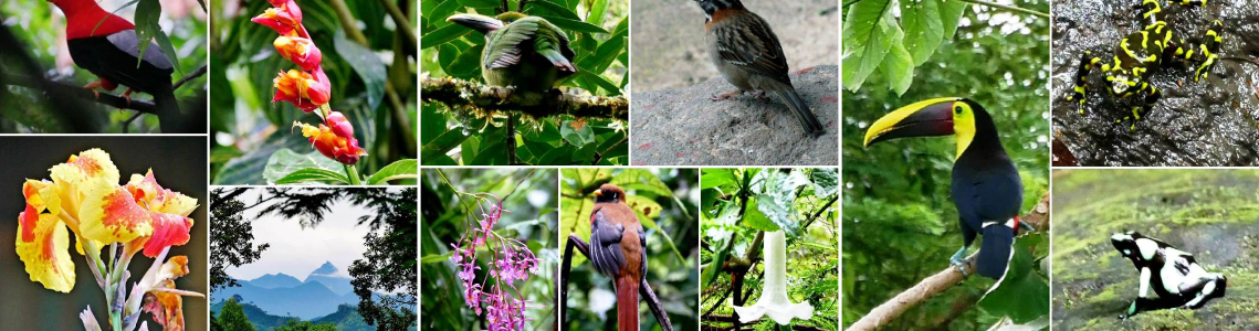 la-colombie-6-1 Agencia de Viaje en Colombia